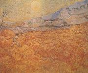 Vincent Van Gogh Wheat Field behind Saint-Paul Hospital with a Reaper (nn04) china oil painting artist